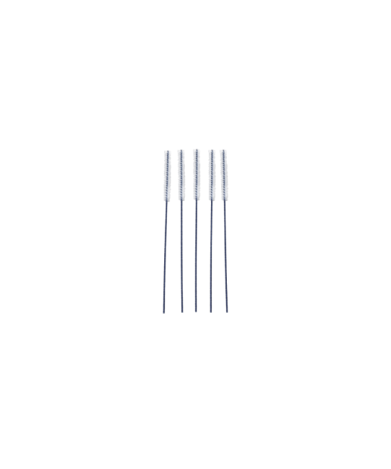 Brush Set | Solino