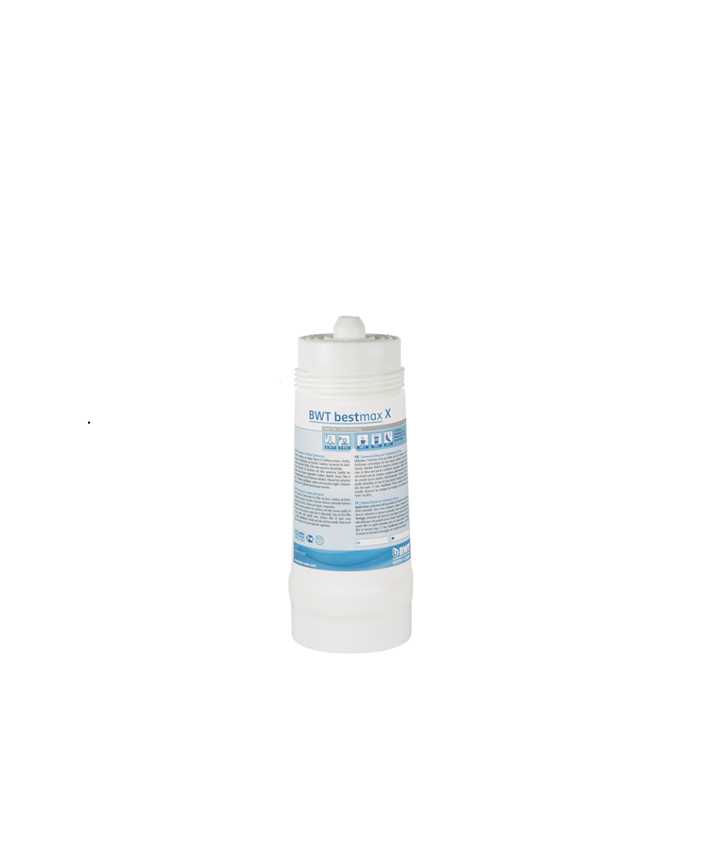 BWT Bestmax X Επαγγελματικό Φίλτρο Νερού - 600L
