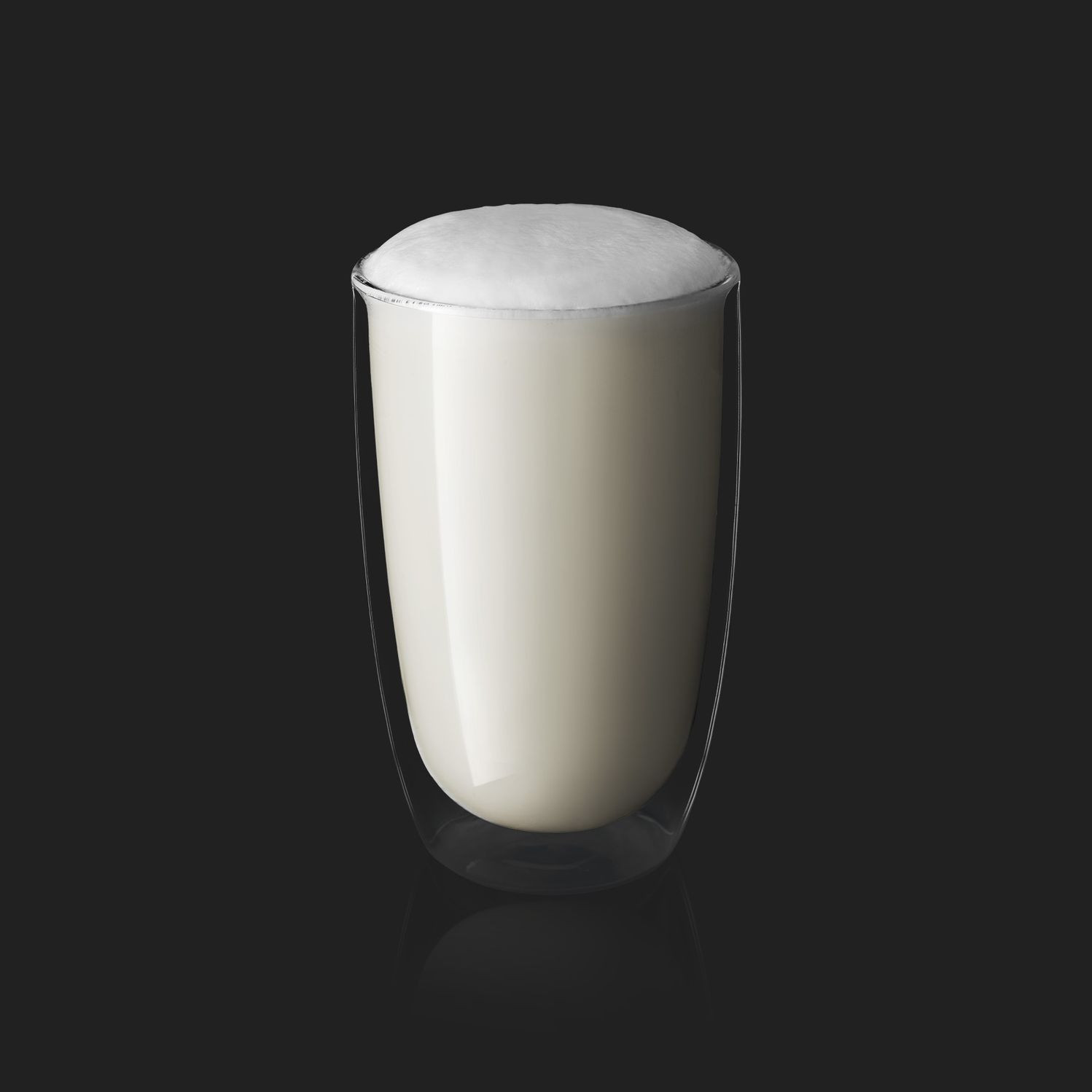 WMF Elevation 10 σύστημα γάλακτος Basic Milk για Click+Clean